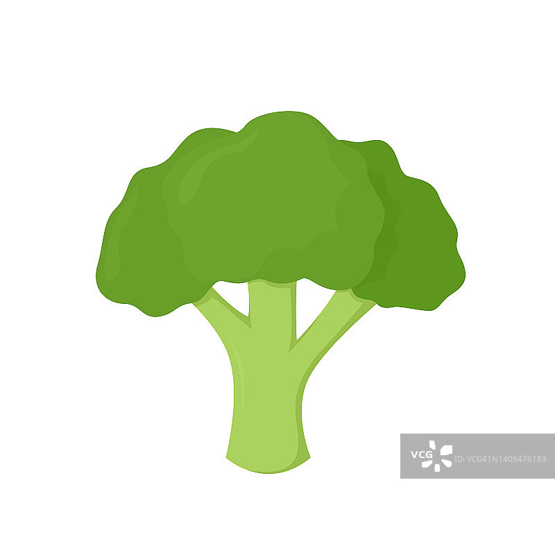 西兰花蔬菜图标。新鲜健康食品的矢量插图。图片素材