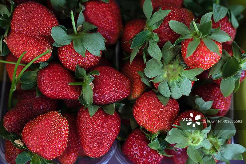 新鲜的有机草莓图片素材