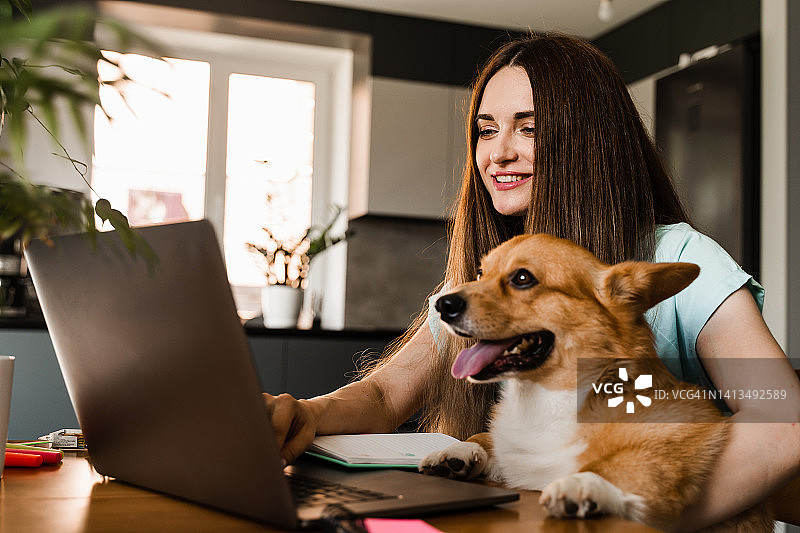 女孩在网上用笔记本电脑和朋友聊天，并在家里展示她的柯基狗。威尔士柯基的生活方式。与家人的视频连接。快乐的女孩和家养的宠物在一起玩耍。图片素材