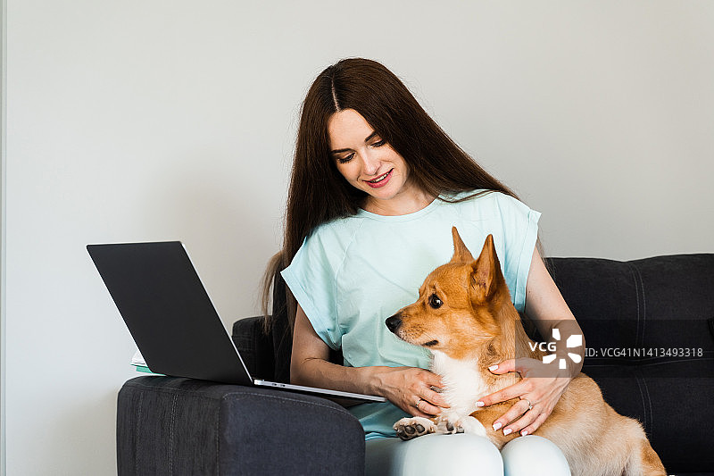 美女抱着柯基狗在家休息。女孩和她的宠物坐在沙发上，一起用笔记本电脑看电影。威尔士柯基的生活方式。图片素材