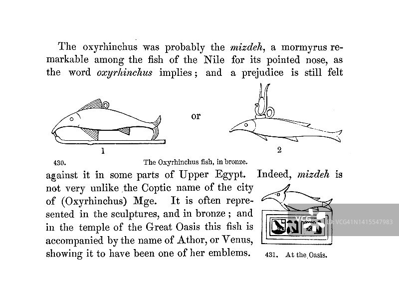 19世纪版画;以各种形式描绘的神圣的鱼;《古埃及人的通俗故事》1854年图片素材