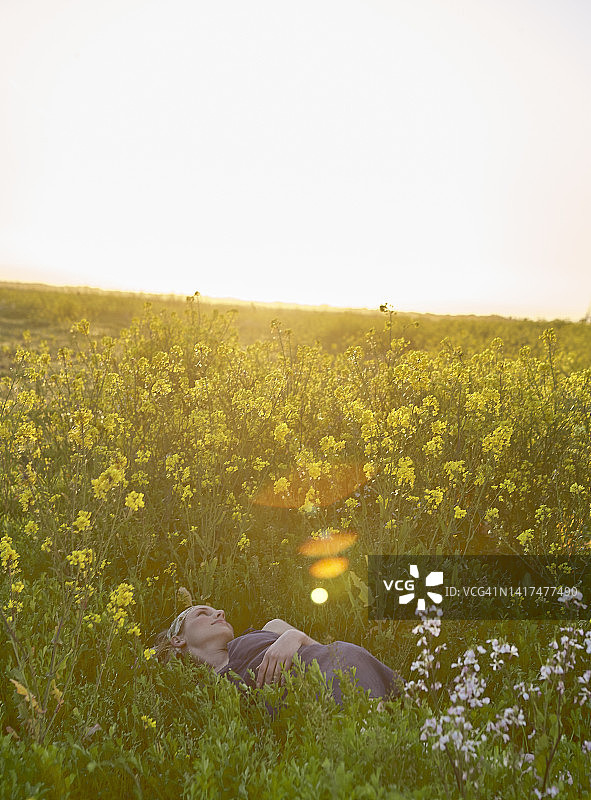 一个年轻的女人躺在野花丛中。日落。图片素材