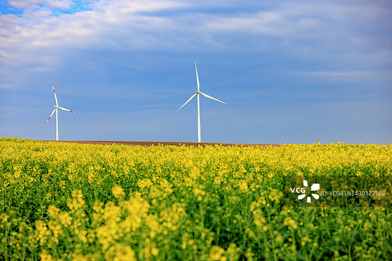 春天，风力涡轮机在农田里拔地而起图片素材