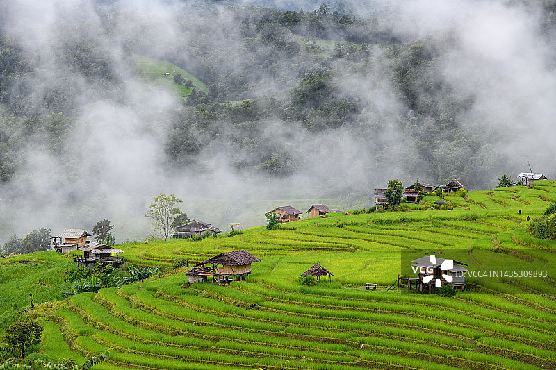 泰国清迈Ban pa bong piang的水稻梯田，从空中俯瞰雨水和雾图片素材