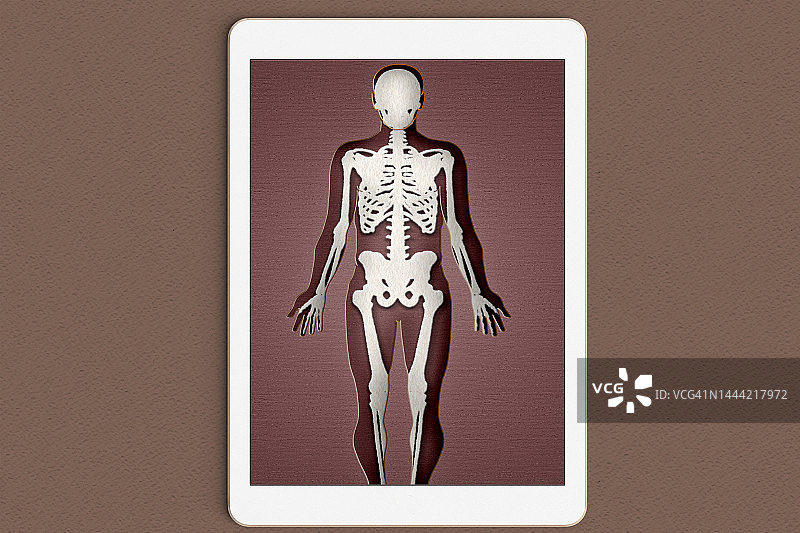 白色毛毡和纸制成的人体骨架在数字设备中工作图片素材