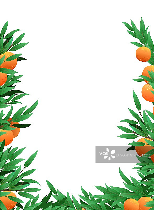 果实成熟的树橙。框架形式的分支。可食用的园林植物。树枝上有叶子和叶子。孤立在白色背景上。向量图片素材
