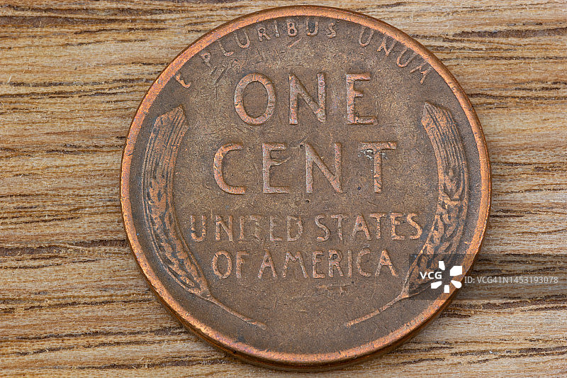 1951年林肯小麦硬币背面图片素材