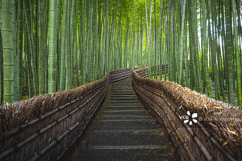 京都岚山竹林间的楼梯图片素材