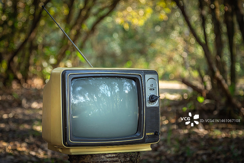 黄色复古旧电视天线在森林背景，户外图片素材