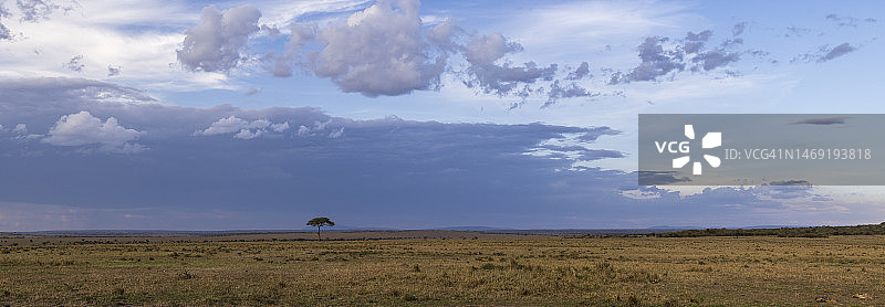 马赛马拉国家保护区大草原上的日落图片素材