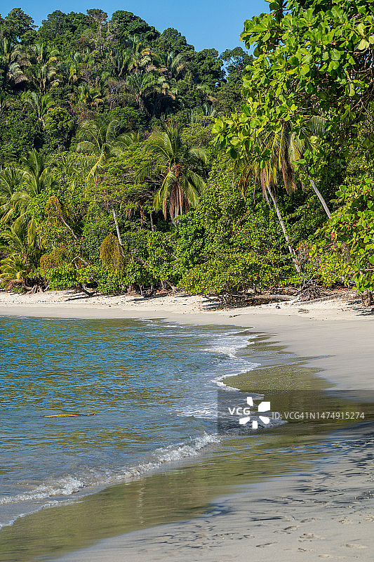 哥斯达黎加太平洋海岸曼努埃尔·安东尼奥国家公园的野性海岸之美图片素材
