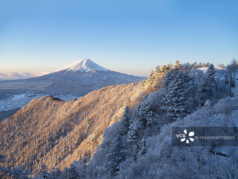 在一个冬天的早晨，富士山上的雪山森林图片素材