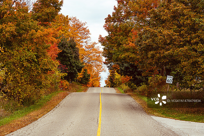 秋天，加拿大安大略省，布兰普顿，树林中空荡荡的道路图片素材
