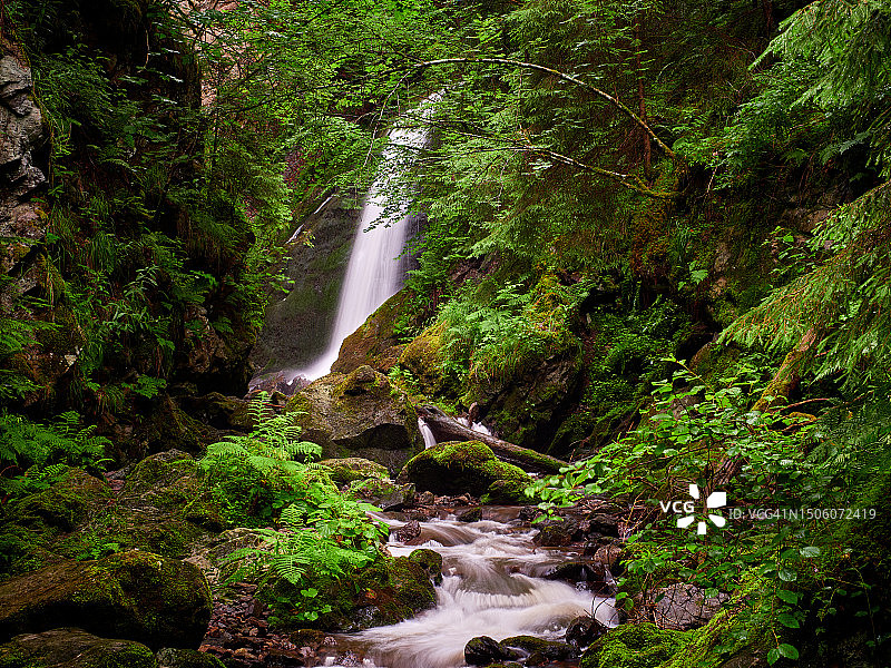 森林中瀑布的美景图片素材