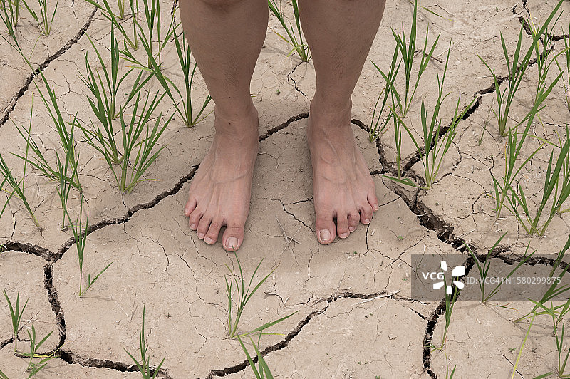 农民赤脚站在农田破裂的土壤表面。在干燥的天气里，粘土颗粒会收缩，相互之间会拉得更紧。图片素材