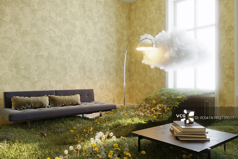 有草和云的客厅图片素材