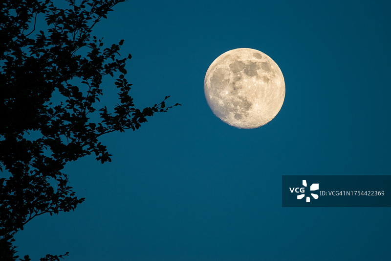 在晴朗的夜空下，月亮的低角度视图图片素材