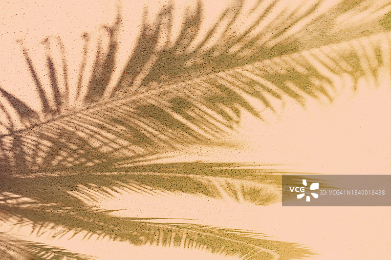 模糊的棕榈叶阴影在柔和的米色桃色2024年的背景。图片素材