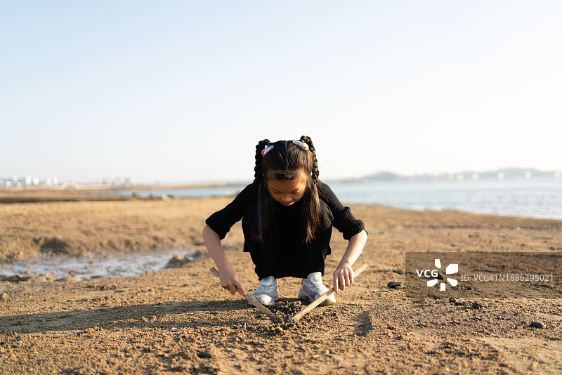 一个亚洲女孩在沙滩上捡贝壳图片素材