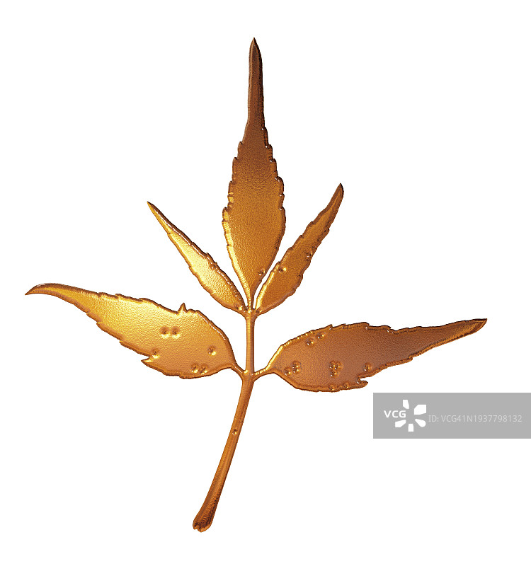 白色背景上的金色金属叶子的小树枝特写。图片素材