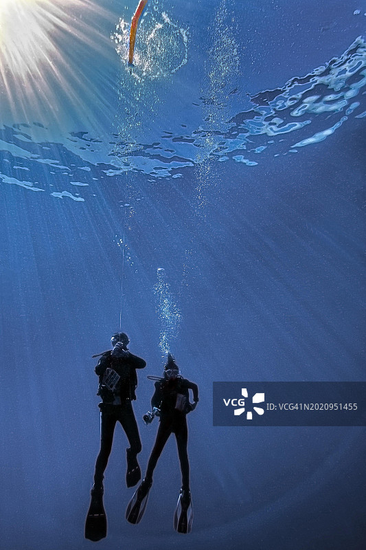 两个潜水员与潜水浮标，瓦卡托比潜水度假村，苏拉威西岛，印度尼西亚，亚洲图片素材