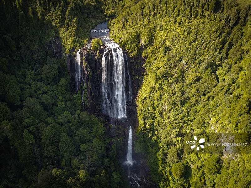 风景秀丽的瀑布在森林里，怀卡托，新西兰图片素材