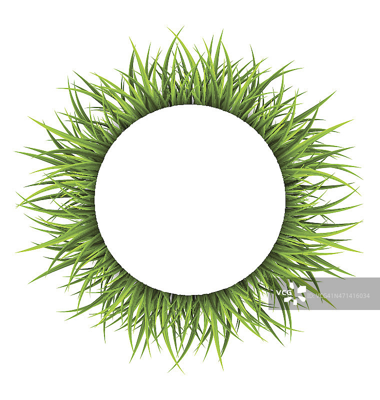 框架与绿色的草。植物的自然背景图片素材