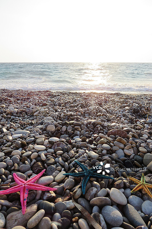 日出时沙滩上的海星。图片素材