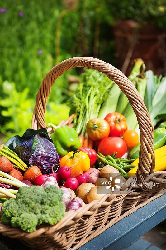 新鲜的夏季收获的蔬菜从花园垂直图片素材