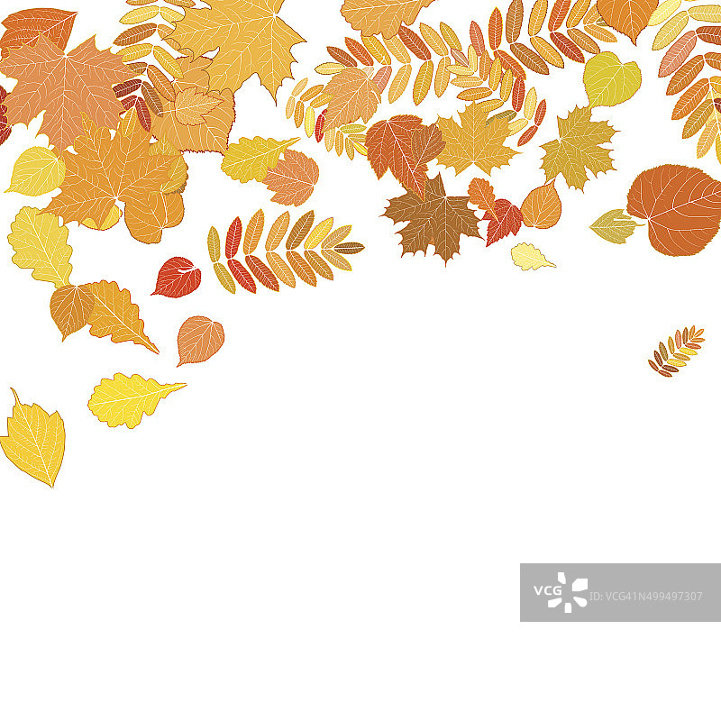 秋叶飘落，纺纱上白。图片素材