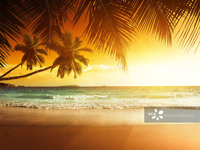 加勒比海海滩上的日落图片素材