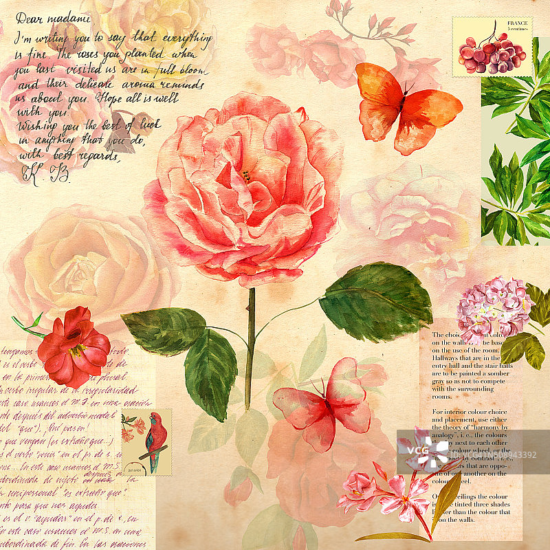 复古拼贴画，有玫瑰，蝴蝶，还有旧纸的碎片图片素材