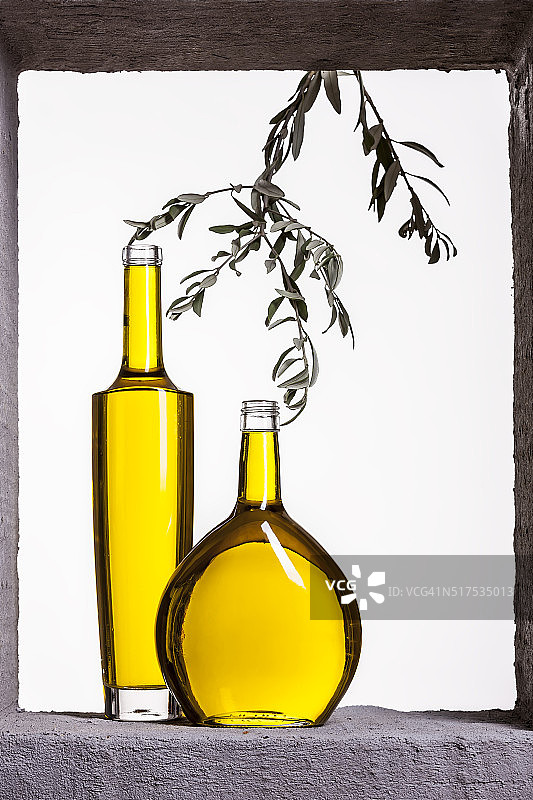 古代框架中的橄榄油和树枝图片素材