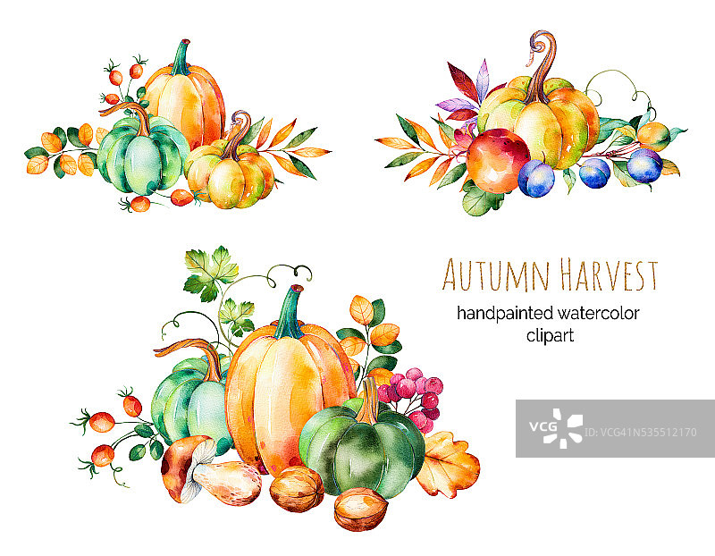 色彩缤纷的秋季收集与秋天的树叶，树枝，浆果，黑莓，蘑菇图片素材