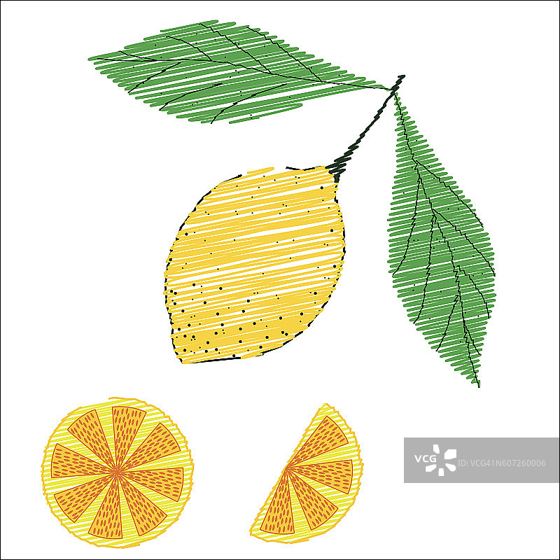带有叶子和柠檬片的柠檬素描风格，颜色图片素材