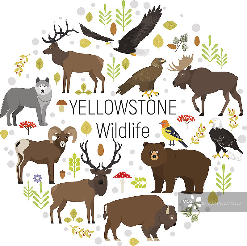 黄石公园动物驼鹿、麋鹿、熊、狼、鹰、野牛圈设图片素材