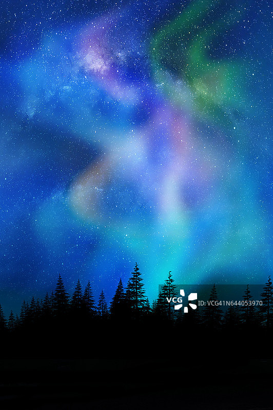 五颜六色的北极光(北极光)在加拿大森林图片素材