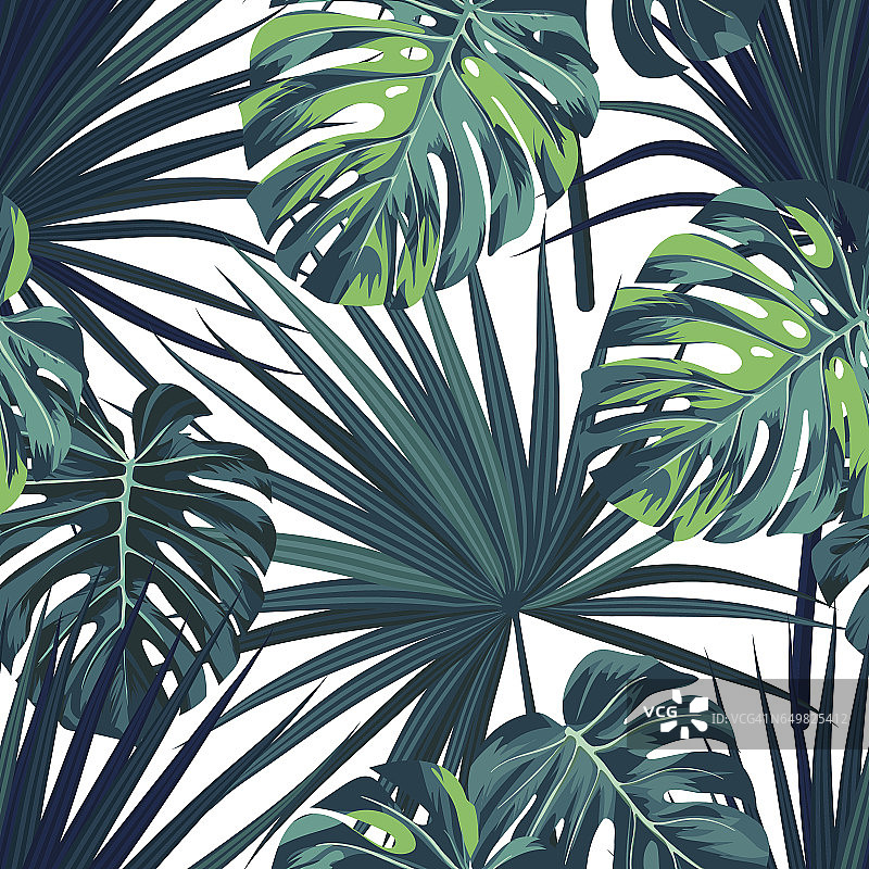 热带丛林植物背景。无缝矢量热带模式与绿色的sabal棕榈和怪兽叶图片素材
