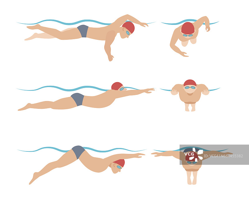 矢量图解的游泳风格方案不同的游泳运动员在游泳池运动的男子和女子锻炼图片素材