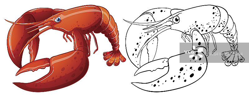 龙虾的动物轮廓图片素材