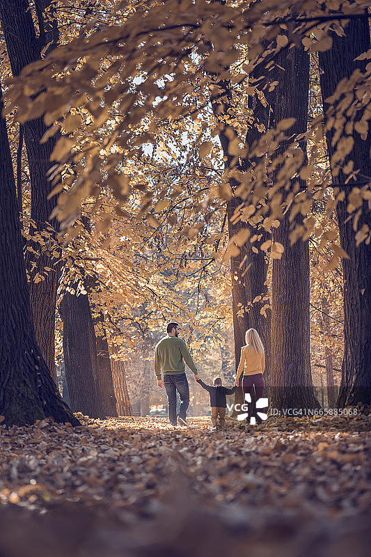 幸福的夫妇和儿子手牵着手在公园散步图片素材