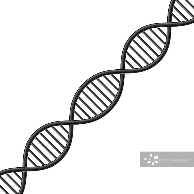 DNA的象征。矢量图图片素材