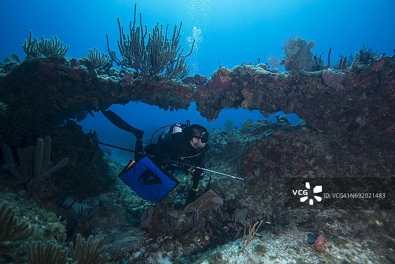 墨西哥科苏梅尔岛，潜水员在海底探险图片素材