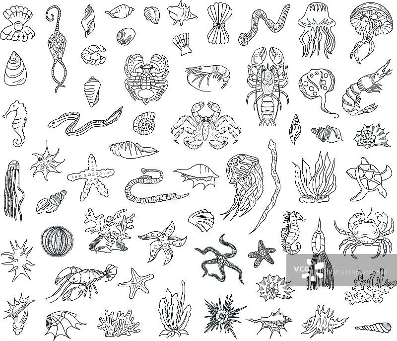 海洋生物涂鸦套装图片素材