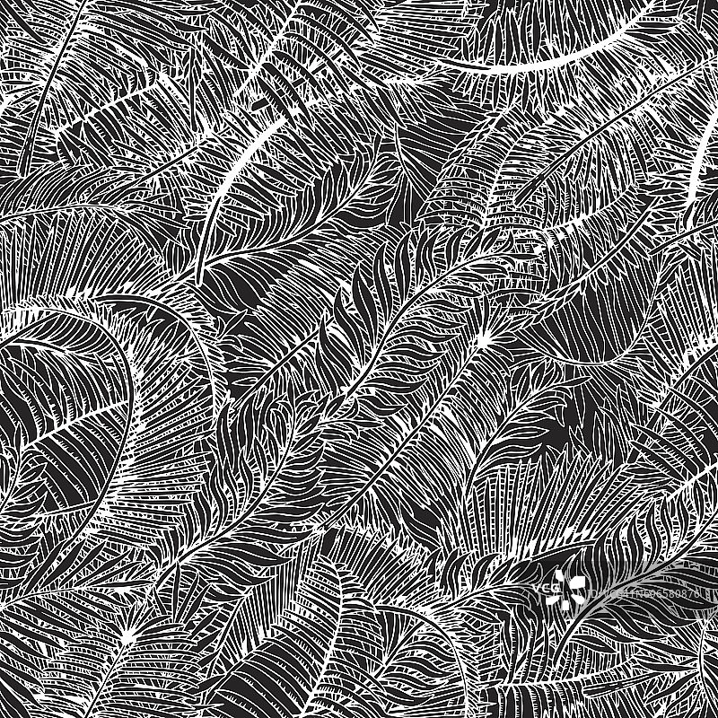 热带叶无缝模式。异域棕榈叶背景。手绘黑白插图。图片素材