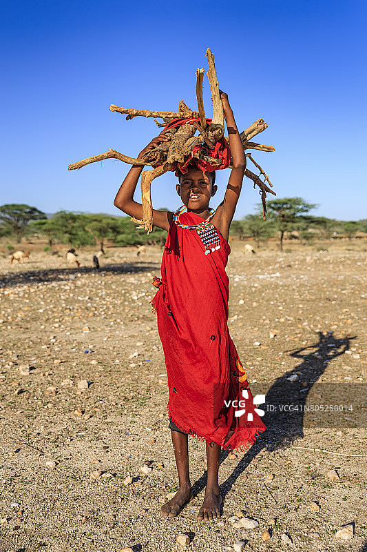 东非，肯尼亚，热带草原上，一个非洲小女孩背着灌木图片素材