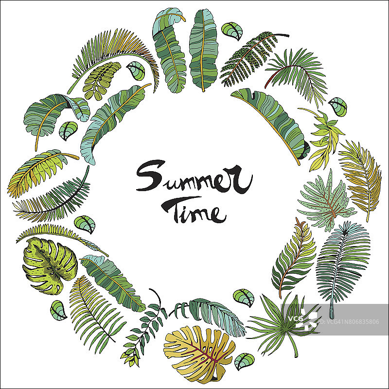 夏天海报。异国情调的棕榈叶在圆圈里。热带落叶背景。手绘插图。图片素材