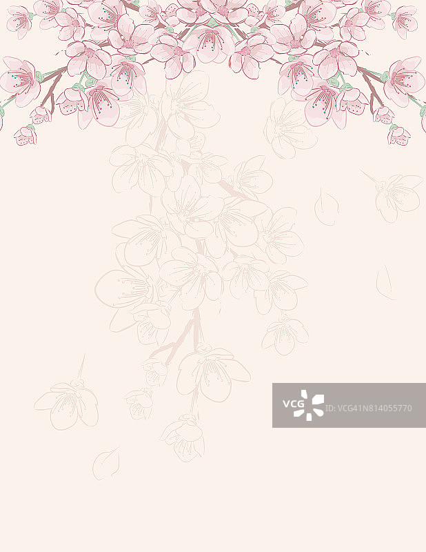 手绘樱花背景图片素材