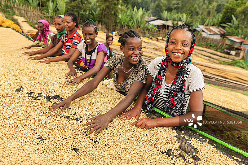 非洲女孩和妇女在分类咖啡豆，东非图片素材