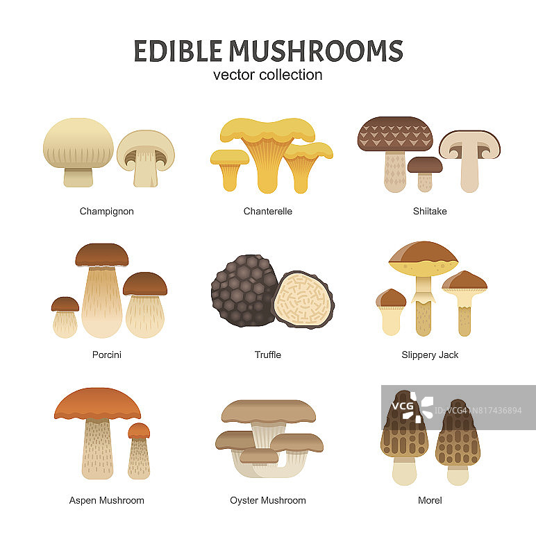 食用蘑菇。图片素材
